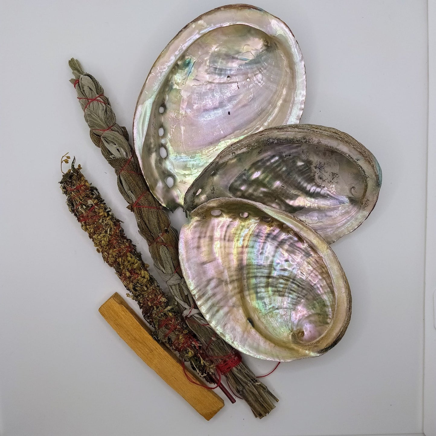 mušle ABALONE